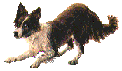 ruffy
