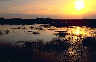 Backwaters
