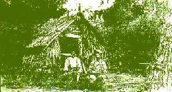 Pioneer Family
