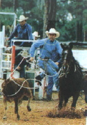 roping cowboy