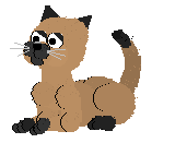 A-catz1.gif (40128 bytes)