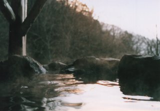 No.14 �I�V���C����̕��i