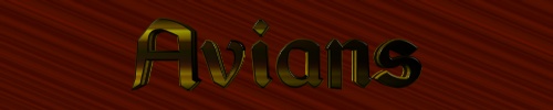 Avian Logo
