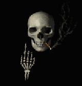 /user/SKELETON.gif