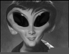 /user/alienboy.jpg