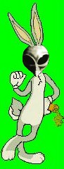 /user/bugsalien.jpg