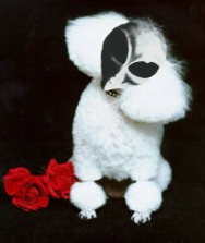 /user/poodlealien.jpg