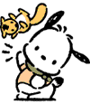 pochacco