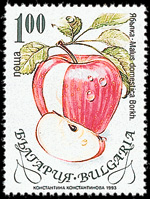 stamp of an apple