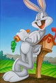 bunny pict.