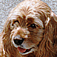 Maggie