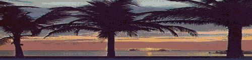 Manila 
Banner