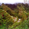 Rice Terraces