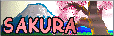 Welcome in SAKURA FRIEND CLUB !!!   >>> Chat, emails of friends...
