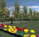 VIRTUAL WORLD SCREENSHOT #4