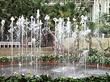 Water Show