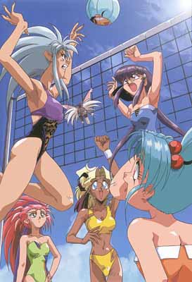 Volleyball Anyone?