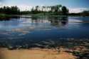 Elk Island National Park, Alberta