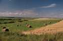 Near Madden, Alberta