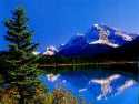 Water Fowl Lake