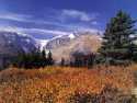 Wilcox Pass